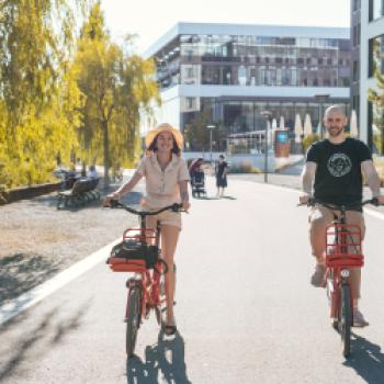 Neuauflage – Bodensee-Radweg von bikeline - Das Radtourenbuch bietet eine Vielzahl von Tourenmöglichkeiten rund um den Bodensee - (c) MTB/Leo Leister