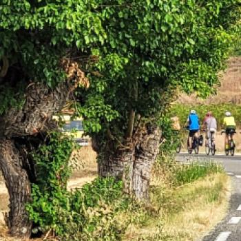 Im Land der Eselsrücken - mit dem Fahrrad unterwegs in Okzitanien - (c) Lutz Bäucker