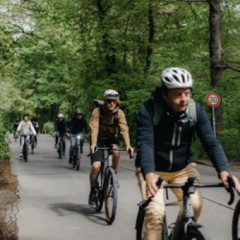 Road oder Gravel, Moustache stellt zwei neue Modelle vor. Für die Modelle Dimanche 28 Road und Dimanche 29 Gravel wurde die ursprüngliche Rahmenplattform vollständig überarbeitet - (c) www.piarazzi.com