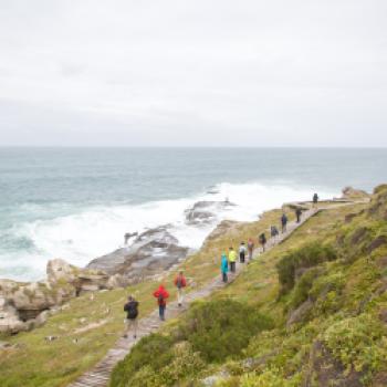 Mit dem Fahrrad entland der Gardenroute von Port Elizabeth nach Kapstadt - (c) African Bikers