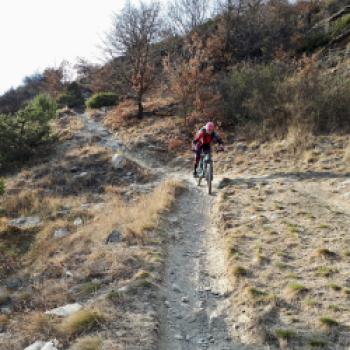 Die meist trockenen Trails... - (c) Christine Kroll