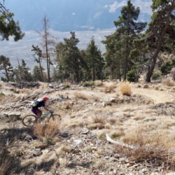 Der Flipsi Trail sorgt mit seinen Kurven für Murmelbahnfeeling - (c) Christine Kroll