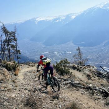Schwer nur auf den Trail und nicht in die Landschaft zu schauen - (c) Christine Kroll