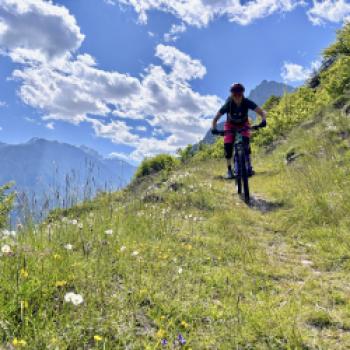 ...entlang schöner Wiesen zurück ins Tal... - (c) Christine Kroll