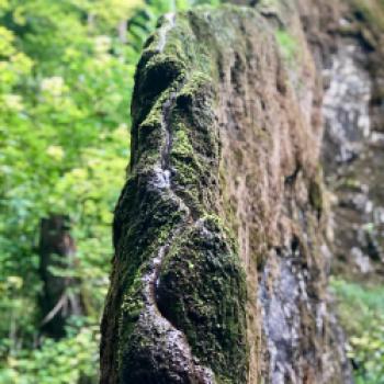 Wo Biergärten das Radeln bremsen - Entlang an der Donau, dem Inn und der Isar führt die Tour quer durch Niederbayern - (c) Gerhard von Kapff