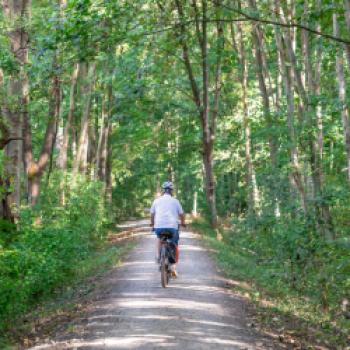 Natur pur erwartet die Fahrradfahrer auf dem Weg nach Groß Gerau - (c) #visitrheinmain I David Vasicek