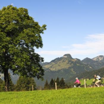 Rocky Reit im Winkl – im Winter ein amtlich verbrieftes Schneeloch, im Sommer eine coole/kolossale E-Bike-Arena für episches/elektrisches Soulbiking – ein echt cooler Topspot für E-Biker ... - (c) Norbert Eisele-Hein