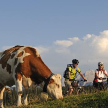 Rocky Reit im Winkl – im Winter ein amtlich verbrieftes Schneeloch, im Sommer eine coole/kolossale E-Bike-Arena für episches/elektrisches Soulbiking – ein echt cooler Topspot für E-Biker ... - (c) Norbert Eisele-Hein