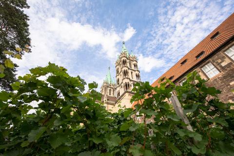 UNESCO-Weltkulturerbe Naumburger Dom (unesco world heritage naumburg cathedral) - (c) Investitions- und Marketinggesellschaft Sachsen-Anhalt mbH, Marco Sensche