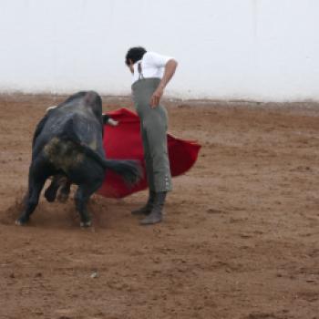 Mexiko – Stiere und Charros - eine fremde, emotionale Welt empfängt den Reisenden - (c) Irina Grassmann