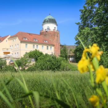 Radler auf dem Elberadweg - (c) Tourismusverband Prignitz - Markus Tiemann
