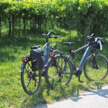 Von Peschiera del Garda nach Valeggio sul Mincio, ein gemütlicher Radausflug mit den E-Bikes von Raleigh am südlichen Gardasee - (c) Jörg Bornmann