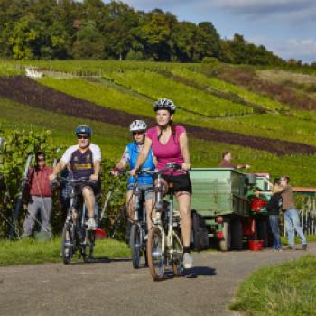 „Liebliches Taubertal“ - Fahrraddestination erster Güte - 2.200 km Radtourenauswahl, E-Bike-Region und vieles mehr - (c) Liebliches Taubertal