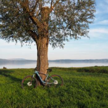 Der Lago Trasimeno befindet sich in der umbrischen Provinz Perugia und ist gerade für Fahrradurlauber ein ideales Urlaubsziel - (c) Jörg Bornmann