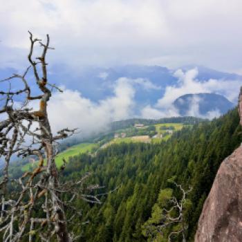 ...Felsen -Knotttn - über dem Haflinger Hochplateau - (c) Christine Kroll