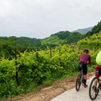 In den Hügeln des Prosecco geht es über steile Rampen bergauf und bergab - (c) Maren Recken