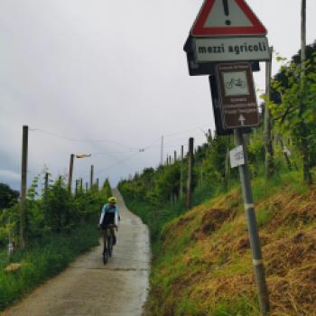 In den Hügeln des Prosecco geht es über steile Rampen bergauf und bergab - (c) Maren Recken