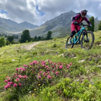 Im Frühsommer blüht die Landschaft besonders schön - (c) Christine Kroll