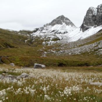 Bezaubernder Lechradweg - Entlang des rund 230 Kilometer langen Lechradwegs entfaltet sich einer der letzten Wildflüsse Europas in seiner vollen Pracht - (c) Carola Faber