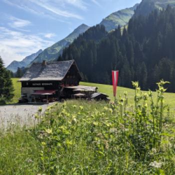 Bezaubernder Lechradweg - Entlang des rund 230 Kilometer langen Lechradwegs entfaltet sich einer der letzten Wildflüsse Europas in seiner vollen Pracht - (c) Carola Faber