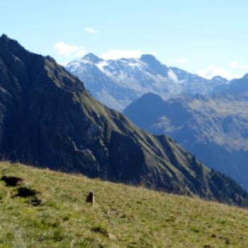 Bezaubernder Lechradweg - Entlang des rund 230 Kilometer langen Lechradwegs entfaltet sich einer der letzten Wildflüsse Europas in seiner vollen Pracht - (c) Carola Faber