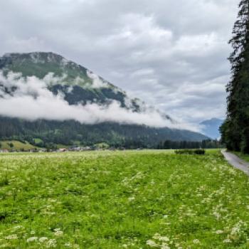 Bezaubernder Lechradweg - Entlang des rund 230 Kilometer langen Lechradwegs entfaltet sich einer der letzten Wildflüsse Europas in seiner vollen Pracht - (c) Carola Faber