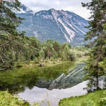 Bezaubernder Lechradweg - Entlang des rund 230 Kilometer langen Lechradwegs entfaltet sich einer der letzten Wildflüsse Europas in seiner vollen Pracht - (c) Carola Faber