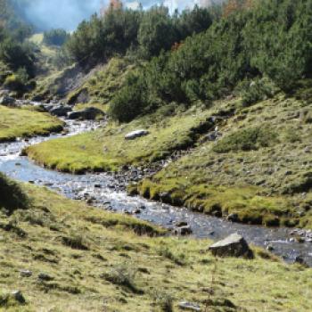 Bezaubernder Lechradweg - Entlang des rund 230 Kilometer langen Lechradwegs entfaltet sich einer der letzten Wildflüsse Europas in seiner vollen Pracht - (c) Carola Faber