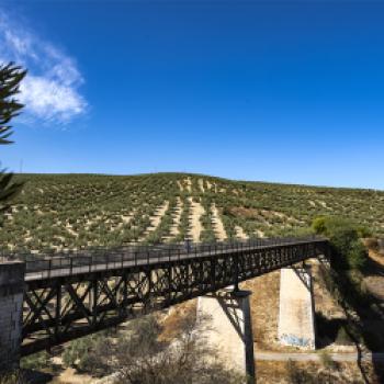 Ausrangierte LoViaducto El Higueral - Via Verde del Aceite - (c) Gabriele Beautemps