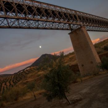 Viaducto sobre el Viboras - Verde del Aceite - (c) Gabriele Beautemps