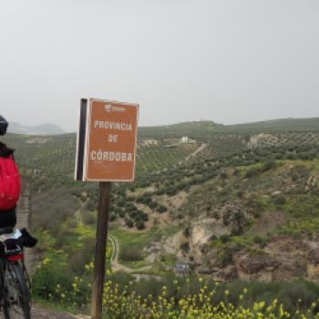 An der Grenze zur Provinz Cordoba - Verde del Aceite - (c) Gabriele Beautemps