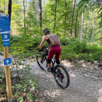 Die neuen Trails sind mit ihrer jeweiligen Schwierigkeit... - (c) Christine Kroll