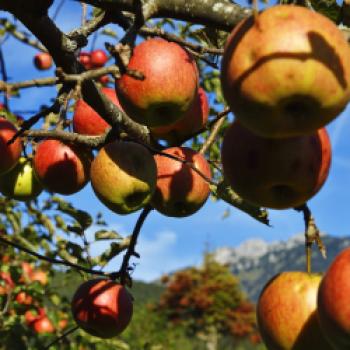 Indianersommer im Chiemgau - diese herbstliche Radtour lässt die Glückshormone schuhplatteln - (c) Norbert Eisele-Hein