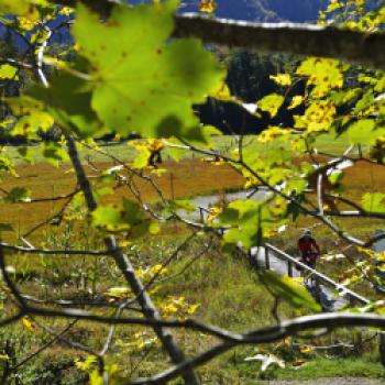 Indianersommer im Chiemgau - diese herbstliche Radtour lässt die Glückshormone schuhplatteln - (c) Norbert Eisele-Hein