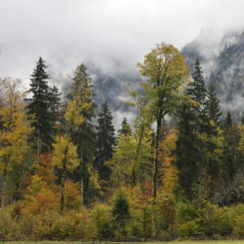 Indianersommer im Chiemgau - diese herbstliche Radtour lässt die Glückshormone schuhplatteln - (c) Norbert Eisele-Hein