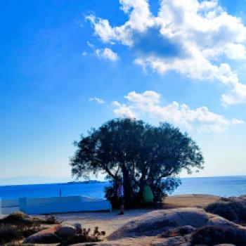 Fast schon exotisch: Radfahren zwischen Blau und Bergen auf der Kykladeninsel Naxos- (c) Lutz Bäucker