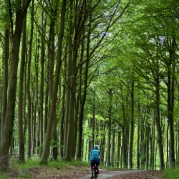 Ostseeküste: Inselhüpfen mit dem Fahrrad - (c) Armin Herb