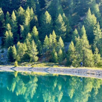 Radeln hoch über dem Reschenpass - hier an der Grenze zu Südtirol und Graubünden kann man Mountainbike-Touren durch die imposante Bergwelt unternehmen - (c) Armin Herb
