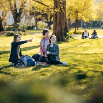 Picknick im Konstanzer Stadtgarten - (c) MTK/Leo Leister