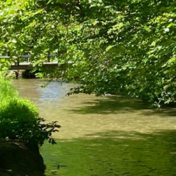 Mit der Rikscha durch Münchens grüne Lunge, der Englische Garten gehört zu den berühmtesten Orten der Stadt - (c) Gabi Dräger