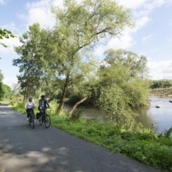 Schattiger Abschnitt auf der ADFC-Qualitätsroute Fulda-Radweg - (c) GrimmeHeimat Nordhessen