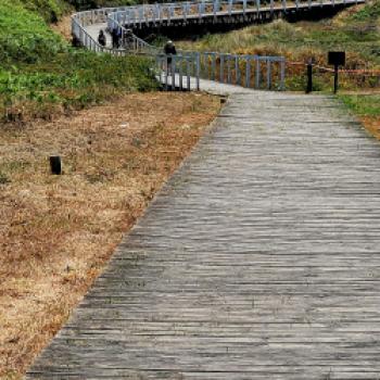Auf dem Holzweg nach Santiago de Compostela - Radpilgern- der neue Trend auf dem Jakobsweg - (c) Lutz Baeucker
