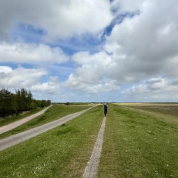Borkum, den Ostfriesenklassiker, quer erradeln  Zwischen Dünenkamm, Wattkante und Nordseefrische - (c) Anke Sademann