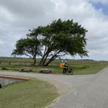 Borkum, den Ostfriesenklassiker, quer erradeln  Zwischen Dünenkamm, Wattkante und Nordseefrische - (c) Anke Sademann