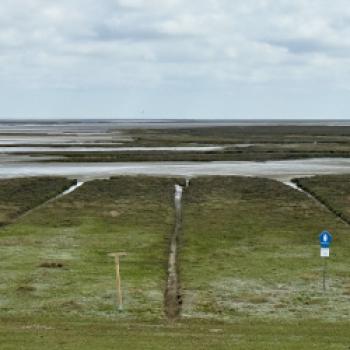 Borkum, den Ostfriesenklassiker, quer erradeln  Zwischen Dünenkamm, Wattkante und Nordseefrische - (c) Anke Sademann