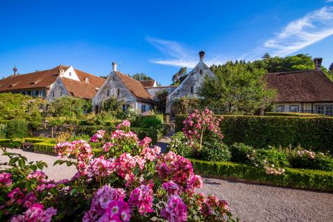 Kirchen, Kunst und Kräuterbeete - Blütenzauber in Ittingen