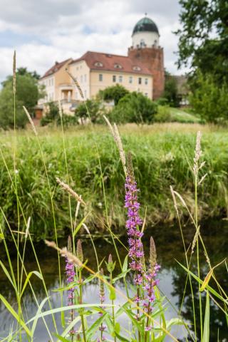 Radler auf dem Elberadweg - (c) Tourismusverband Prignitz - Markus Tiemann