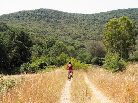 Im Parco regionale della Maremma - die Natur der Toskana mit dem Fahrrad hautnah erleben - (c) Jörg Bornmann