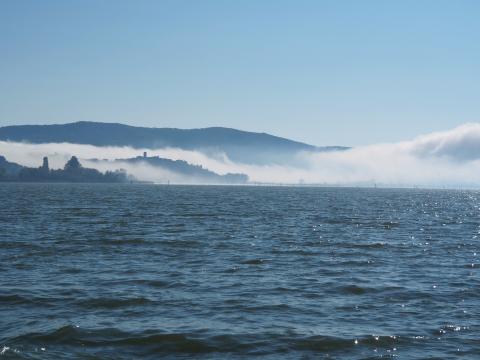 Den Lago Trasimeno mit dem Fahrrad entdeckt - Vogelschutz, Fischfang, Kultur und Kulinarik im westlichen Umbrien - (c) Jörg Bornmann