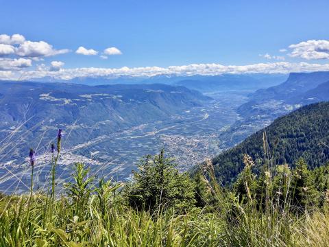 Vom Panoramatrail reicht der Blick weit nach Süden - (c) Christine Kroll